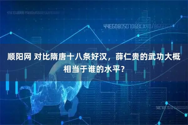 顺阳网 对比隋唐十八条好汉，薛仁贵的武功大概相当于谁的水平？