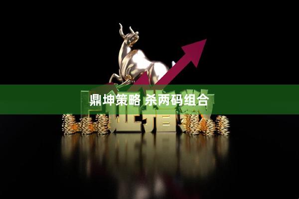 鼎坤策略 杀两码组合