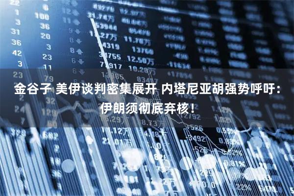 金谷子 美伊谈判密集展开 内塔尼亚胡强势呼吁：伊朗须彻底弃核！