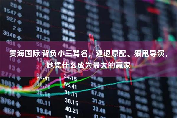 贵海国际 背负小三骂名，逼退原配、狠甩导演，她凭什么成为最大的赢家