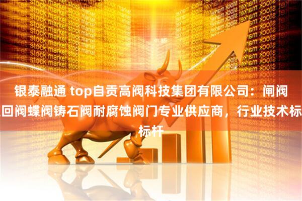 银泰融通 top自贡高阀科技集团有限公司：闸阀止回阀蝶阀铸石阀耐腐蚀阀门专业供应商，行业技术标杆