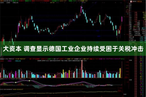 大资本 调查显示德国工业企业持续受困于关税冲击